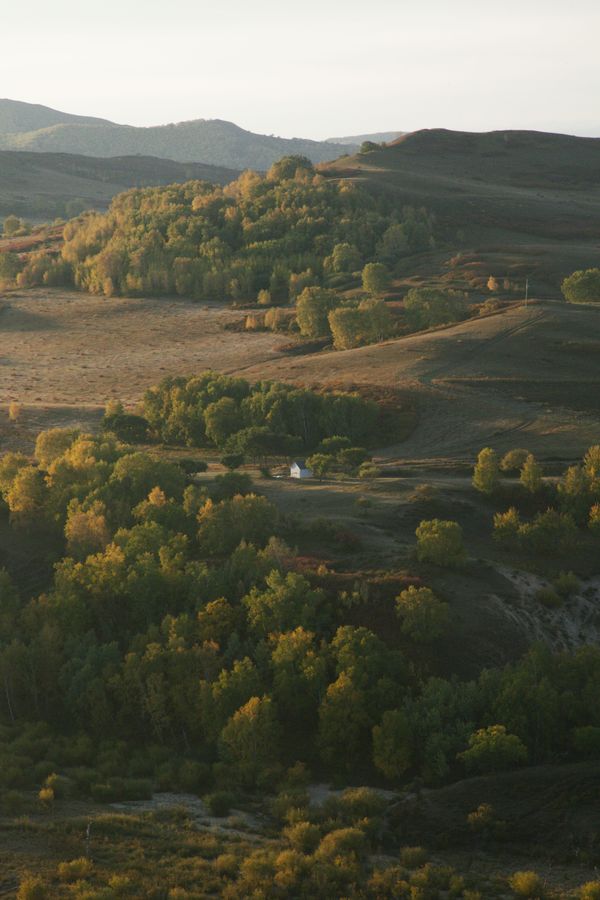 Rolling hills with autumn trees at golden hour