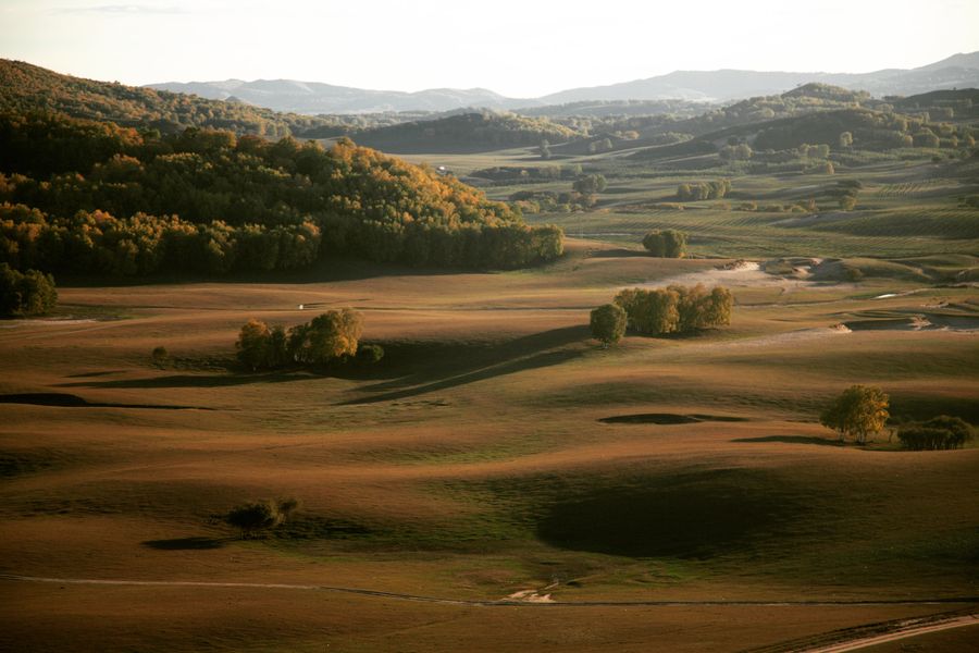 Golden grassland and wooded valleys in late afternoon light