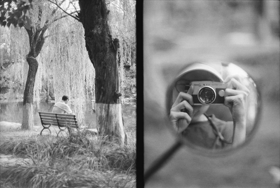 Half-frame diptych: a park bench under willows, and a self-portrait in a round mirror