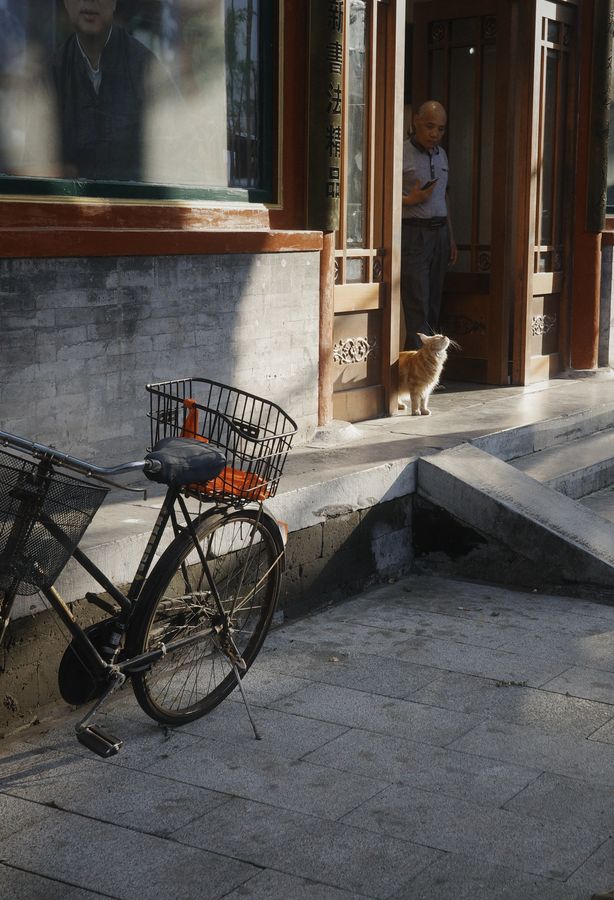 A bicycle parked outside an old wooden doorway, a small dog on the step